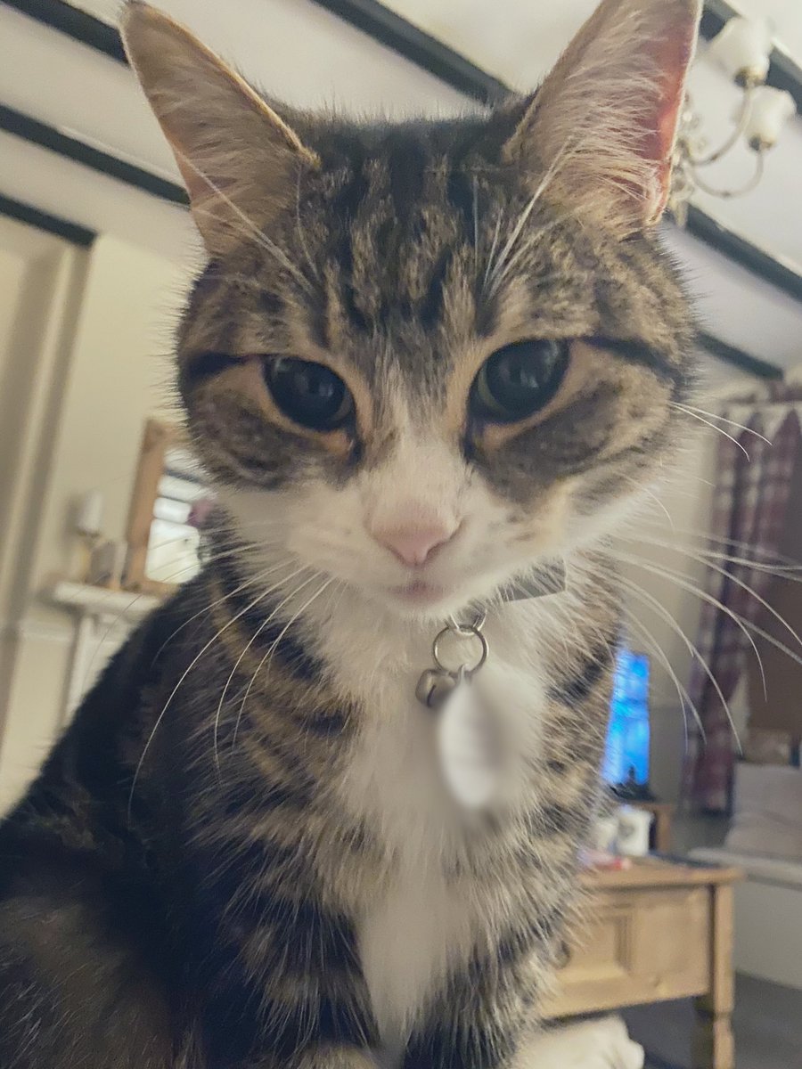 Jemℹ️ma tweet media