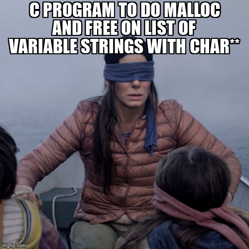 overflow_meme's tweet image. C program to do malloc and free on list of variable strings with char** stackoverflow.com/questions/6544… #cstrings #memorymanagement #pointers #c #free