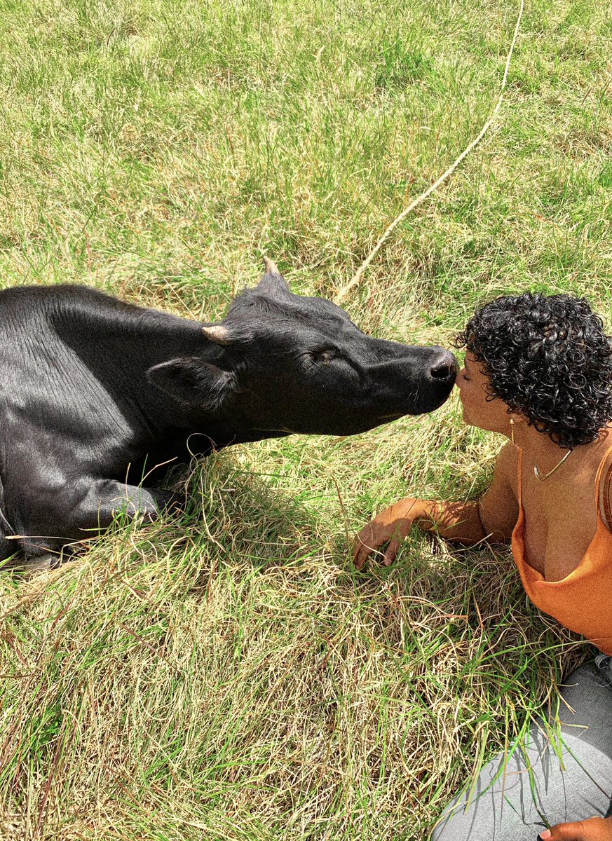 WirthMaisha's tweet photo. So my family gifted me a baby cow. Im so happy 🥺drop name suggestions below 🐮 https://t.co/i3aZ51tiTC