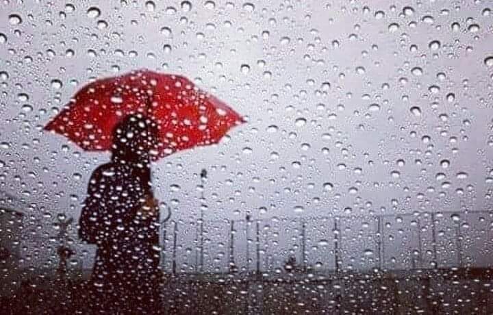 Andulla72583470's tweet image. في جوف كل قطرة 
حلم على وشك الولادة
و أمل يولد
من بعد ألم مخاض  
و أمنية تسري
 في دم نازف على أرض الحياة
 لعل القادم يحمل بشائر 
ولعل الحياة تولد من لحظة ضعف
 فالمطر....
 رغم كل شيء
 حياة .......
حياة تحمل في رحمها  كل ماهو جديد

#HaDeeL