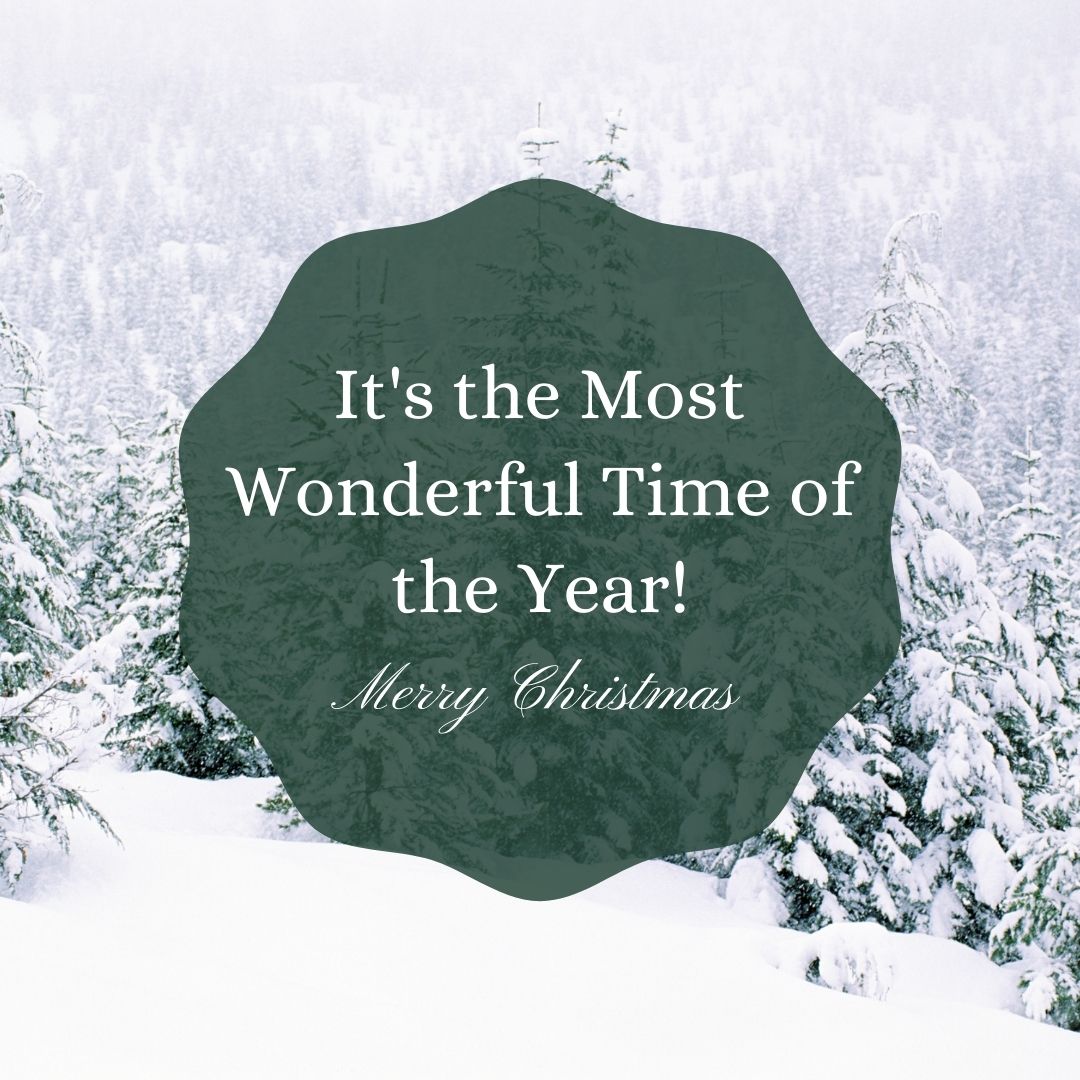 RoseInsuranceCT's tweet image. Merry Christmas and Happy Holidays from Rose Insurance!