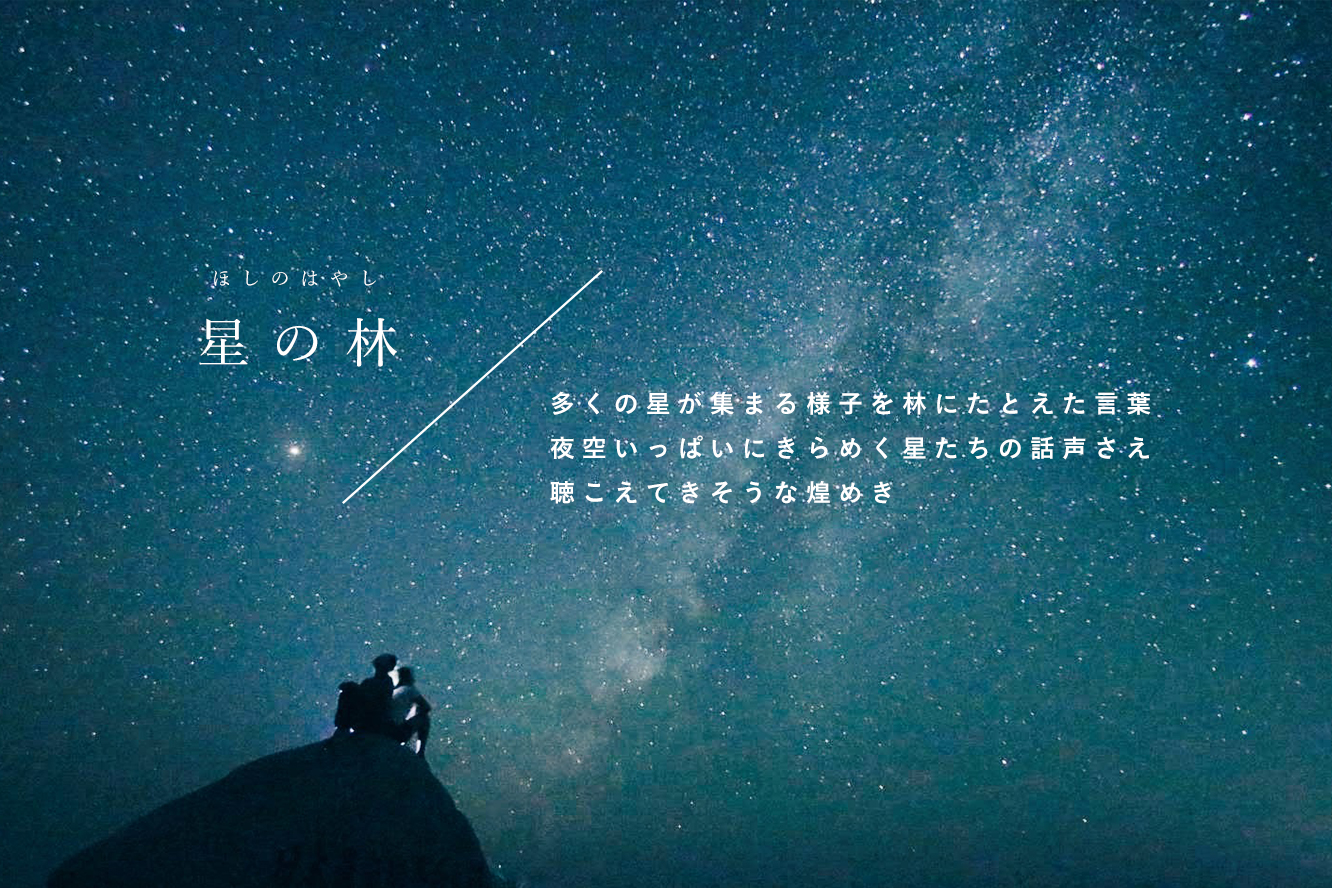 古性 のち 11 30 雨夜の星をさがして 発売 静かな夜に輝く星言葉を集めました T Co 0j4vz78l5t Twitter