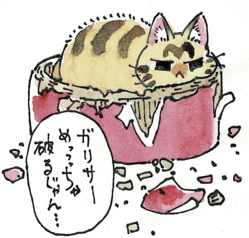 今日のしじみちゃん
(ガリサー=ガリガリサークルの略) 