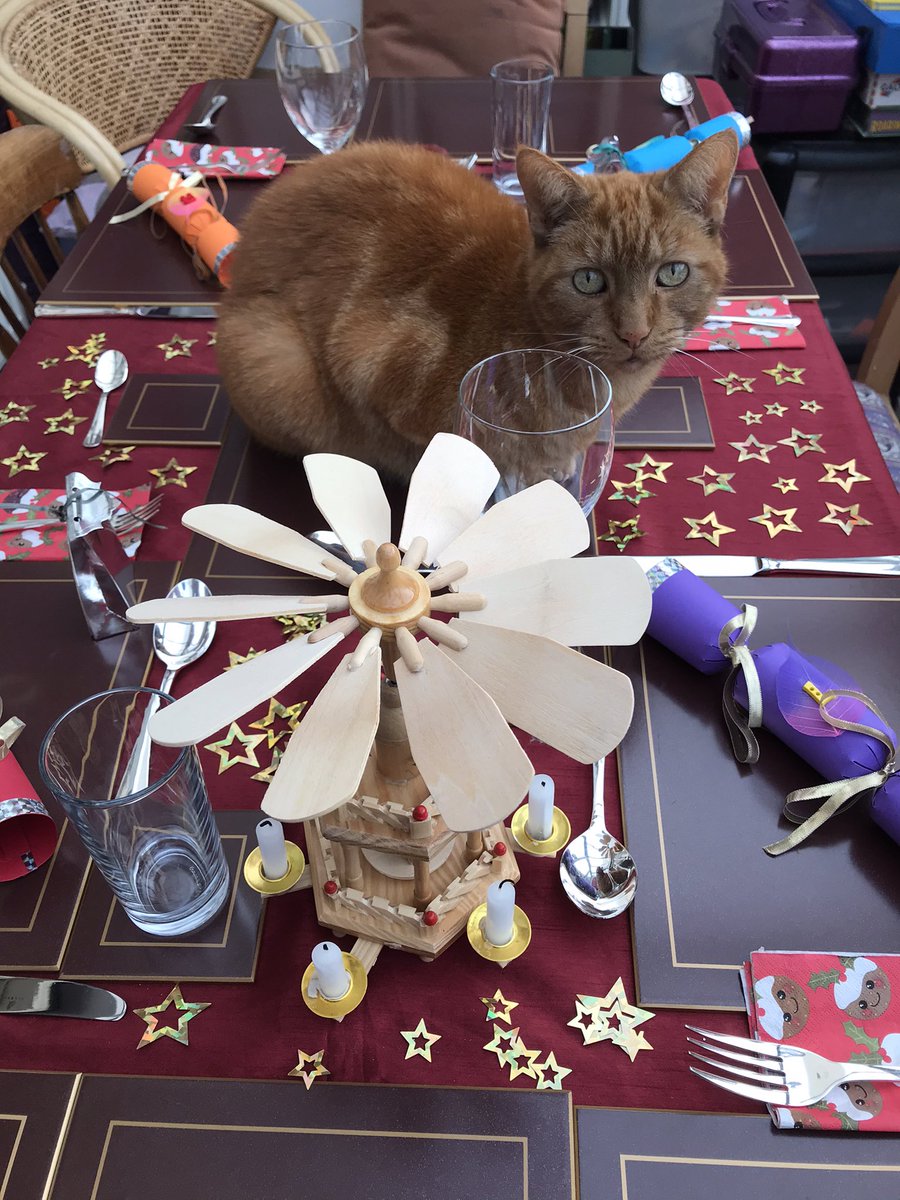 #christmascats How are you getting on with yours <a href="/HoustonMargaret/">Margaret P Houston</a> ?