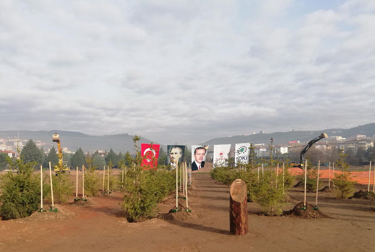 Toki_Kurumsal's tweet photo. Çevre ve Şehircilik Bakanımız Sn. @murat_kurum ve TOKİ Başkanımız Ömer Bulut'un katılımlarıyla Kocaeli Derince Millet Bahçemiz ilk fidanıyla buluştu. https://t.co/pnqChxx7rs