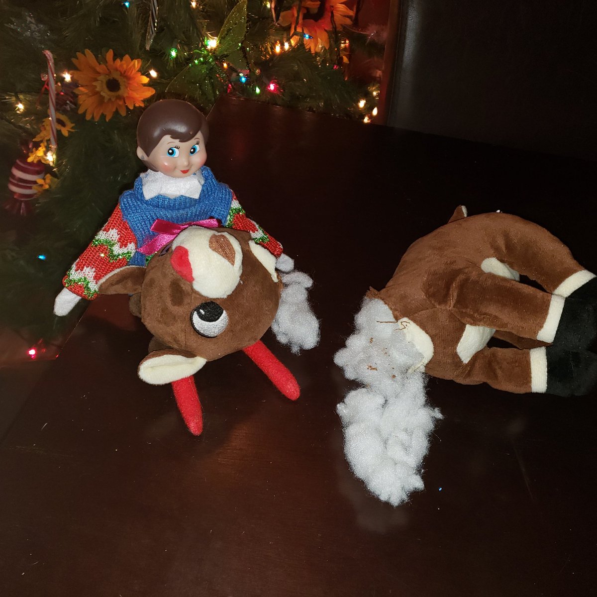 AdamRodgers3022's tweet photo. Time for #theelfontheshelf to go home...or jail #poorrudolph no more #ReindeerGames https://t.co/7Z6paDYJlV