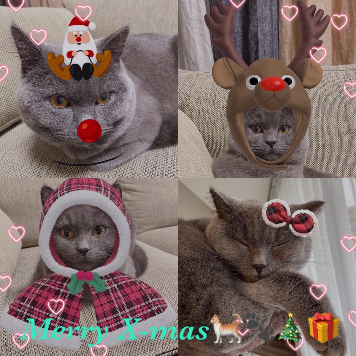chaguevara's tweet photo. https://t.co/ou2ip7wopG