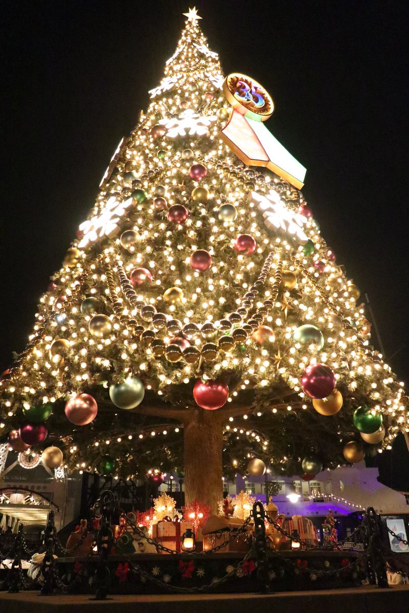 mika2ki__'s tweet photo. お仕事だった方も、お休みだった方もお疲れ様です！！

✨🎄✨メリークリスマス✨🎄✨ https://t.co/PO3kkDhXCI