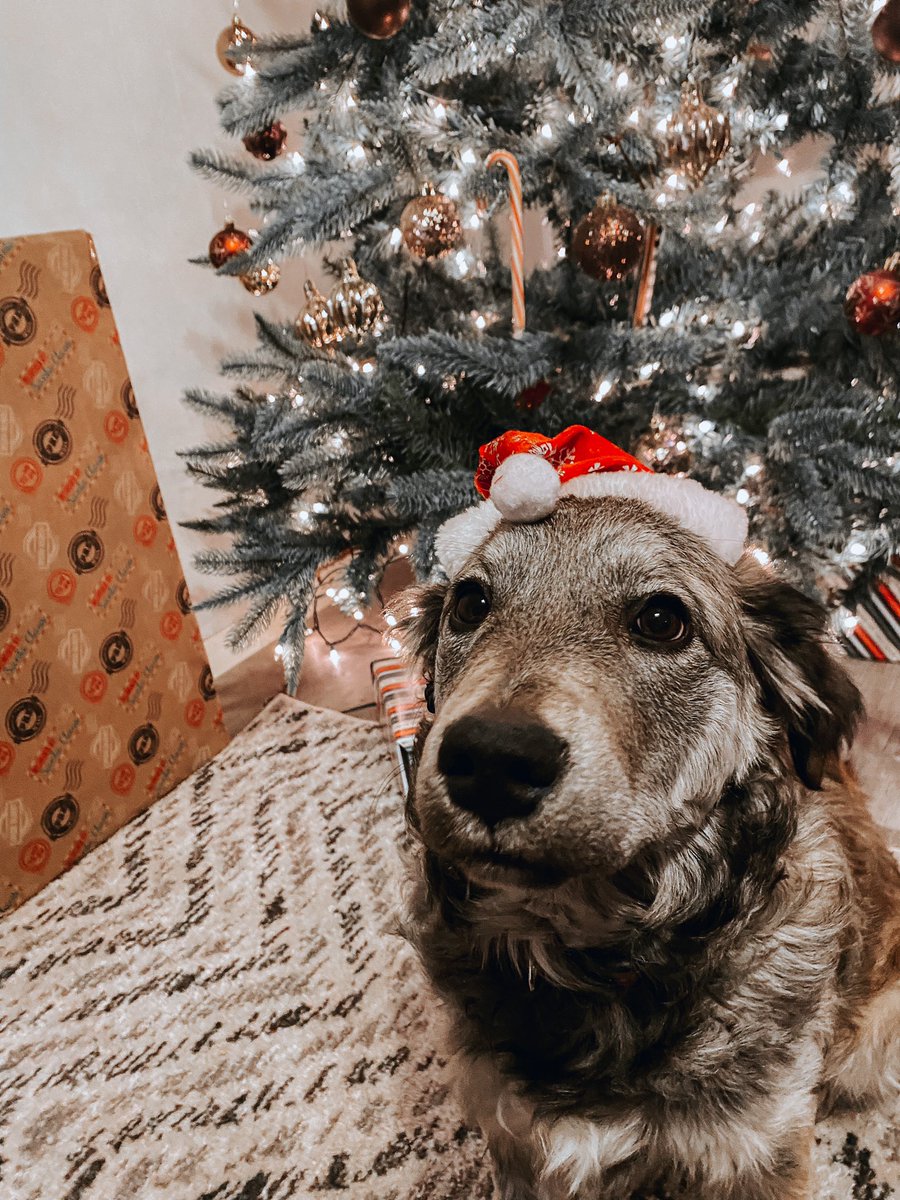 Merry Christmas everyone! 🎄