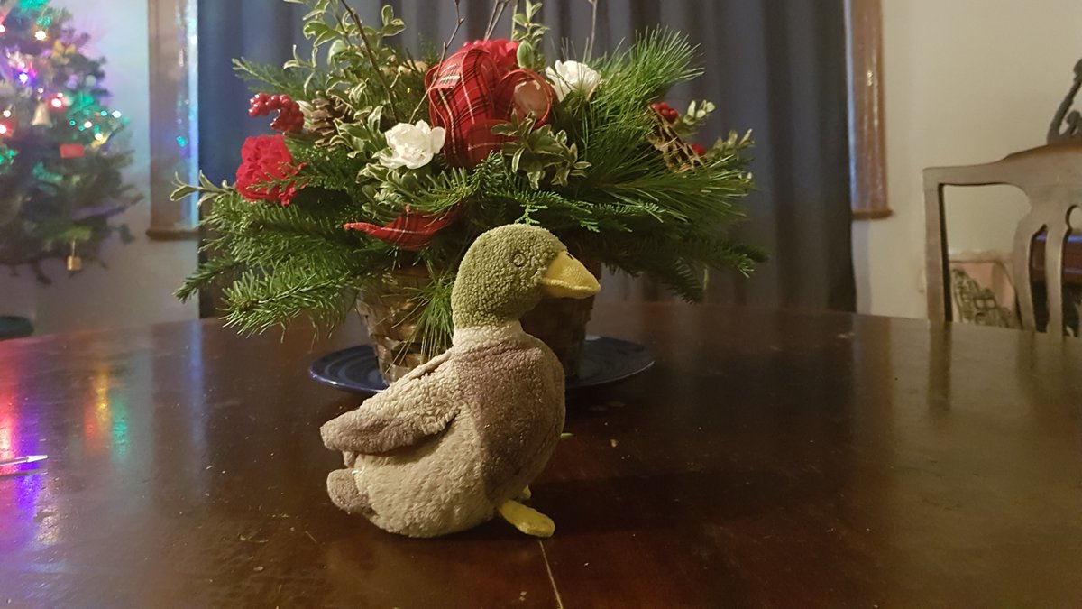 DuckContinue's tweet photo. #MerryChristmas2020 #SafeAtHome https://t.co/QmcNRVWeh9