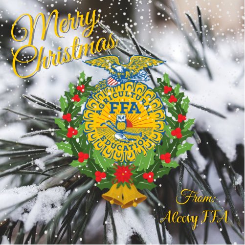 Merry Christmas Everyone! #tigerag #committothecove