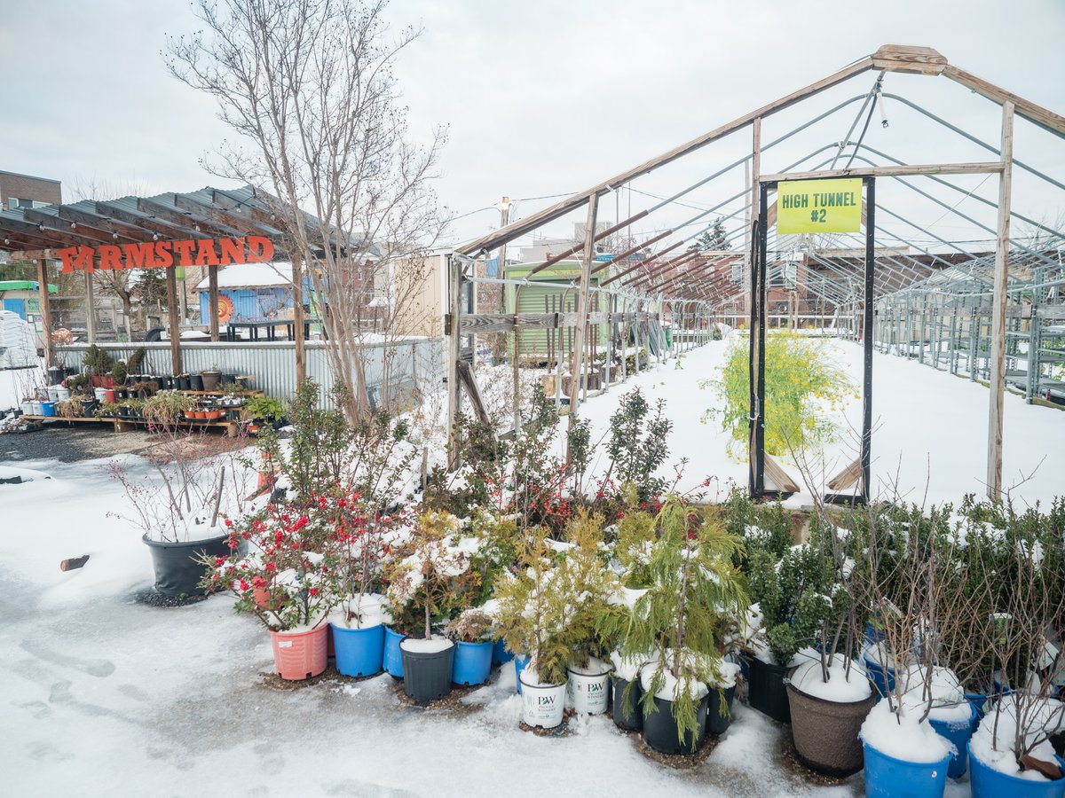 Happy holidays from Greensgrow! 

What are your favorite rotations of crops? Rotating the crops you choose from season to season in each of your garden beds prevents the soil from being depleted of one type of nutrient. 

Start the year with balanced soil.🥦🍉🌾☘️🥔🍅