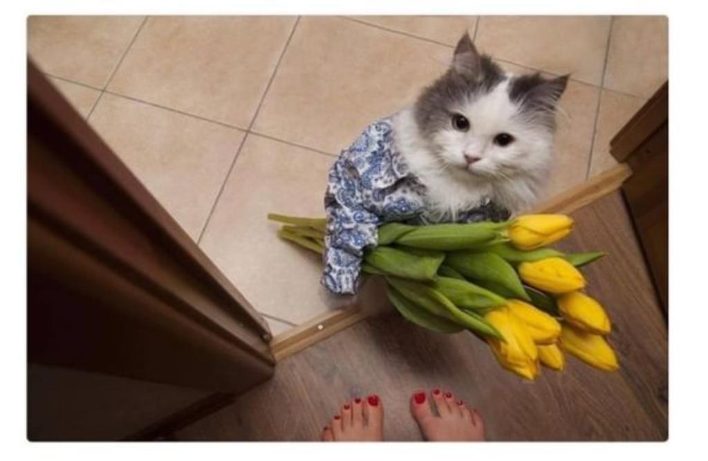 Ne bileyim sen öyle seri layklayınca