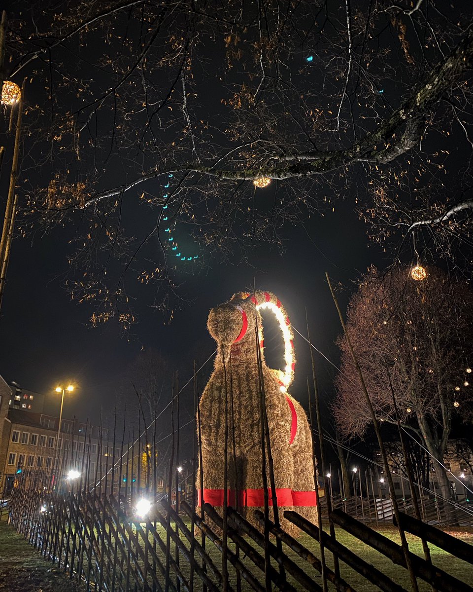 Gavlebocken's tweet photo. A sight for sore eyes. #gävlebocken https://t.co/MdVfGSiI9M