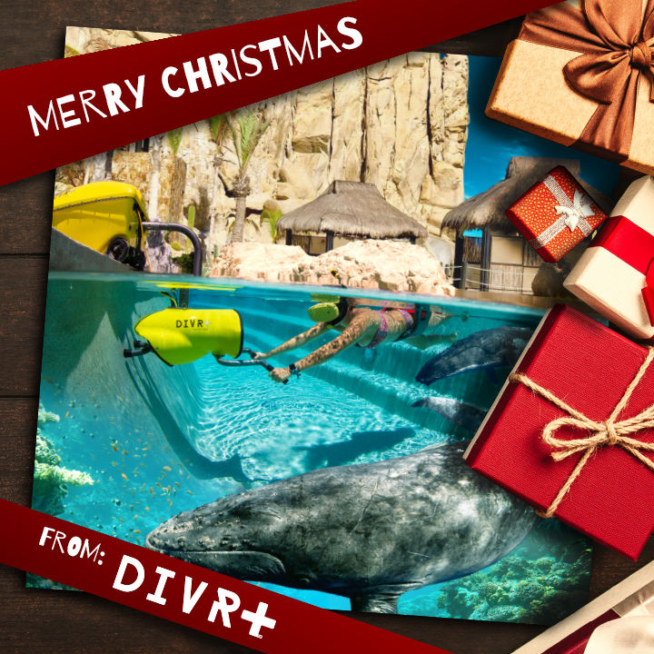 Merry Christmas, happy holidays and wonderful wishes for the new year! 🎄 🥂