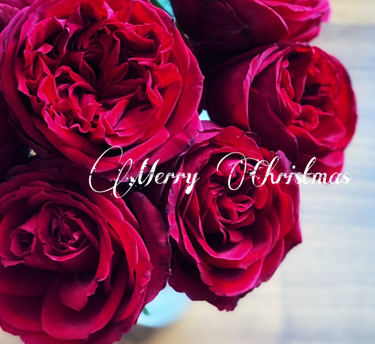 JpkitchenW's tweet photo. Hope all of you have a happy Christmas!! https://t.co/bO4oMcxQAd