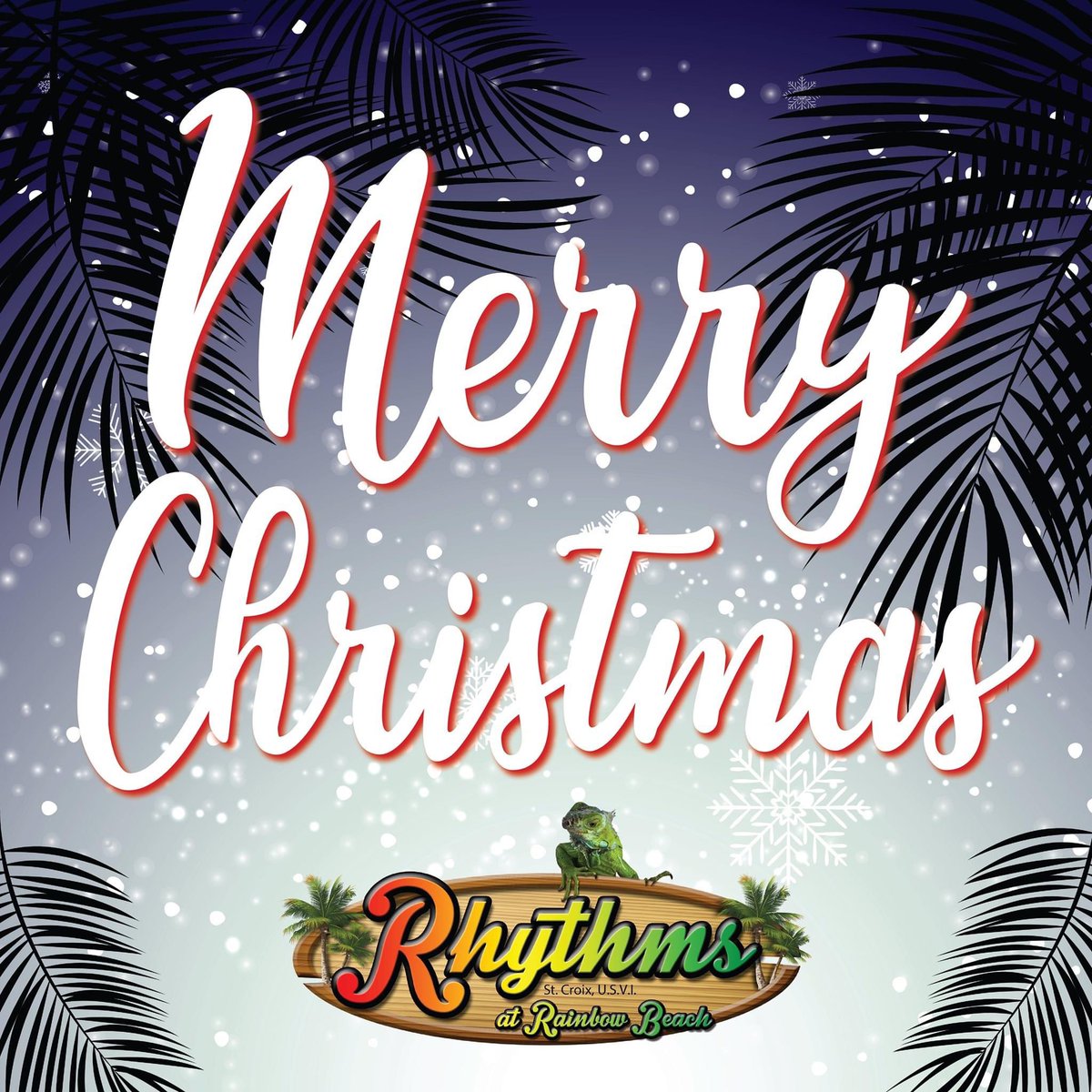 Sending you warm island vibes on this wonderful Christmas Day! ❄️ 🌴 Merry Christmas Everyone!! 

#merrychristmas #stcroix #Holidays2020 #Christmas #christmas2020 #usvi #stx #caribbean #snowflakes #vacation #christmasday