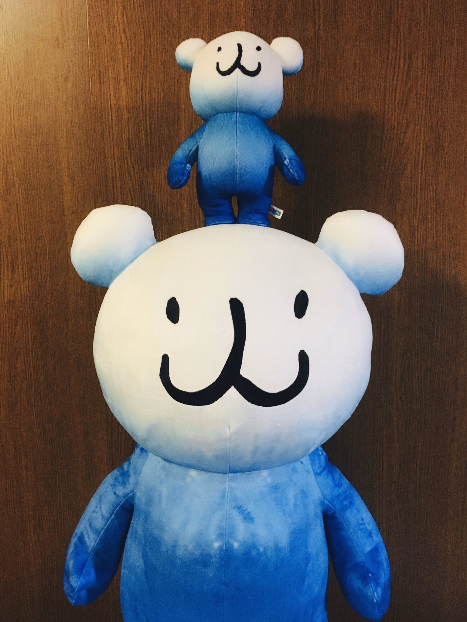 リンス パッチョぬいぐるみがクリスマスに我が家にやってきたよ Xl 大きい かわいい リンス パッチョぬいぐるみがクリスマスに我が家にやってきたよ Xl 大きい かわいい