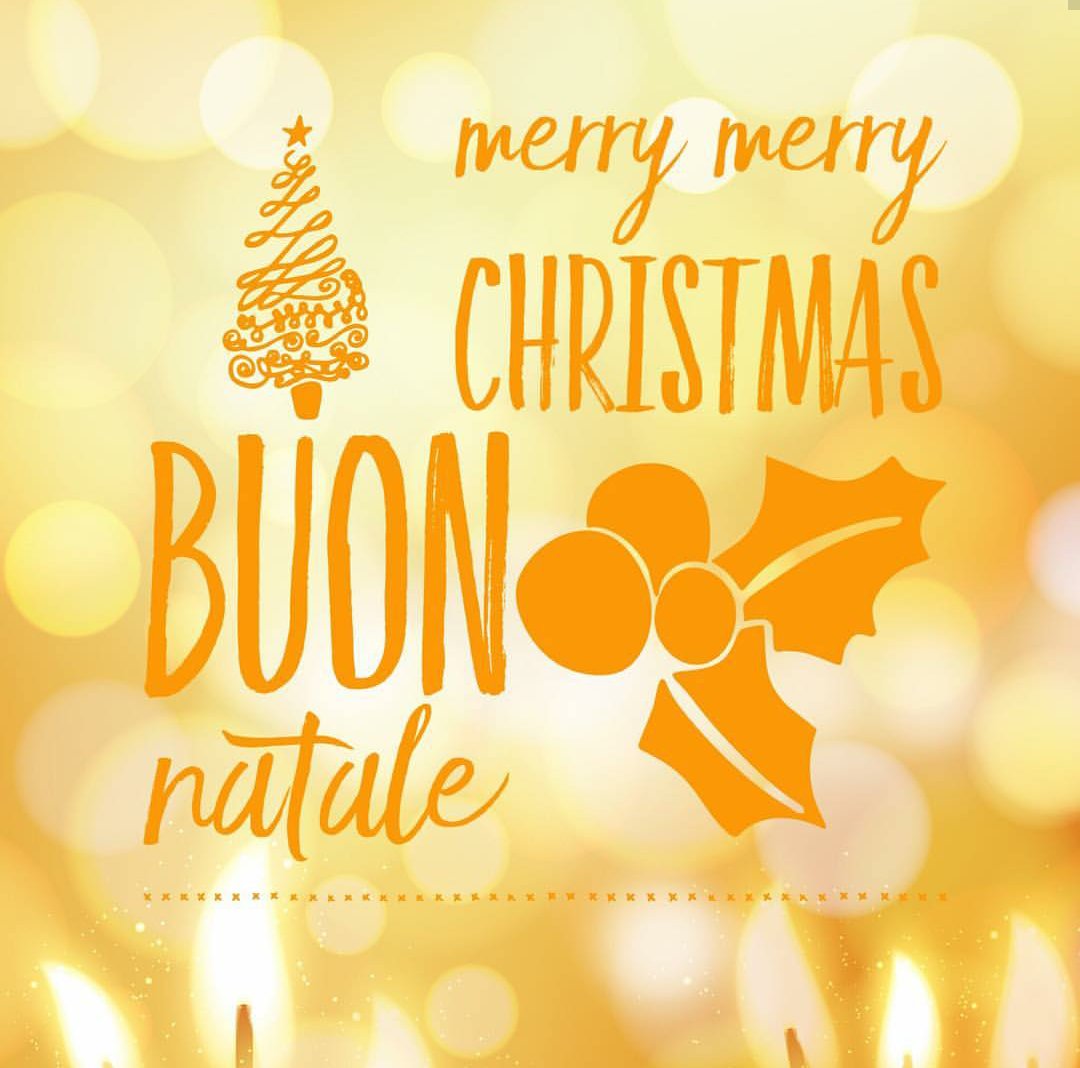quartarone_c's tweet photo. Wishing my family and friends a very Merry Christmas! 🎄🎁🥂🥰 https://t.co/EM90afxWAr