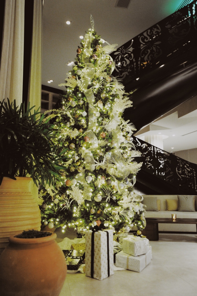 Merry Christmas &amp; Happy Holidays! 🎅🏽 We can't wait for you to dine with us today for our Christmas Day on the Bay at @baiabeachclubmiami 🌞 Make your reservation now through the link in bio. #MondrianSB #ThisIsBeyond