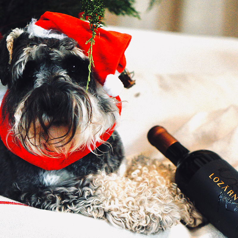 Merry Christmas to our Lozärn friends and family. 
May today be special and a pure celebration of life and prosperities.

#LozarnWines #LozarnMoments #SmutsFamily #Carmenere #CarmenereSouthAfrica #AtHomewithLozarn #Lozarnmoments #SeasonOfCelebration
