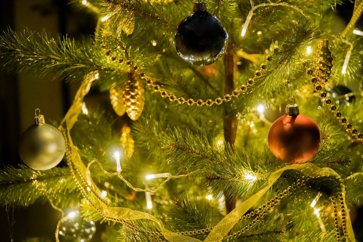 GearBeast's tweet photo. Merry Christmas from all of us at Gear Beast! https://t.co/ypB50C9e3W
