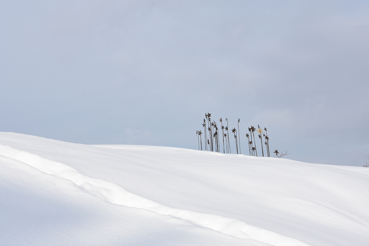 All of us here at Salem Art Works wish you a happy and healthy holiday season. #shinebright #happyholidays