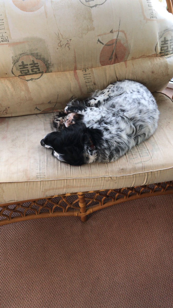 Christmas is to much for some