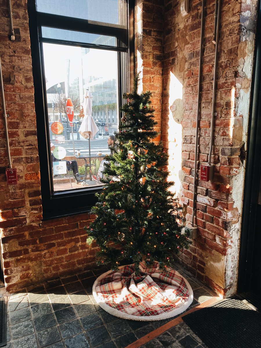 Merry Christmas and Happy Holidays from the Ebz crew! Hoping this season remains a time of joy, peace and filled with loved ones no matter how different that may look this year 🎄 #merrychristmas #happyholidays