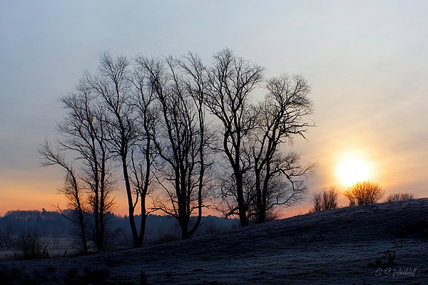 New artwork for sale! - "Northern Winter Morning" - fineartamerica.com/featured/north… @fineartamerica