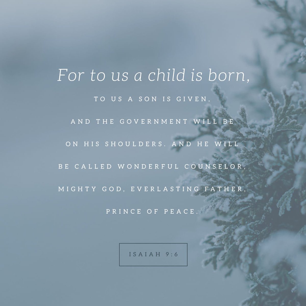 mattrevell's tweet photo. Merry Christmas!! https://t.co/RvzM8hQm0r https://t.co/yR1R1ROJuO