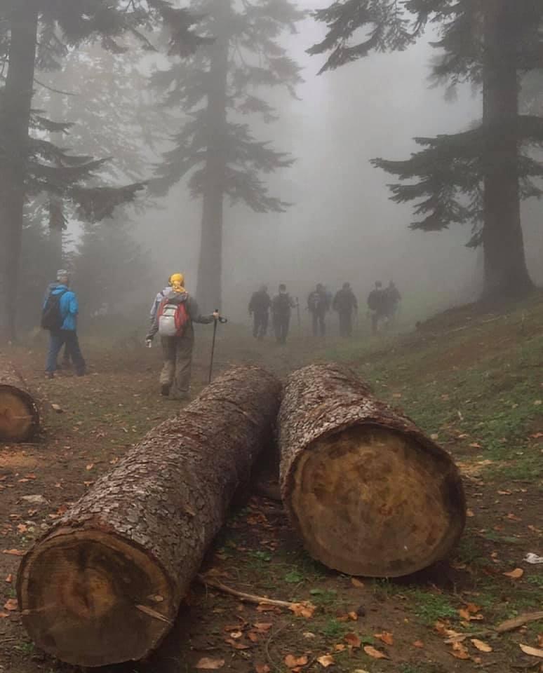 Serdivanmem's tweet image. Tarifsiz doğasıyla güzel Sakarya&apos;m
#HeavenlySakarya

#dörtdörtlüköğrenmekeşfim
#Eğitim2023

@mebailesi2023 @ziyaselcuk @valicetinoktay @okancbn @SakaryaValiligi @Sakaryabld @fazilet_durmus @AliDERE78330428