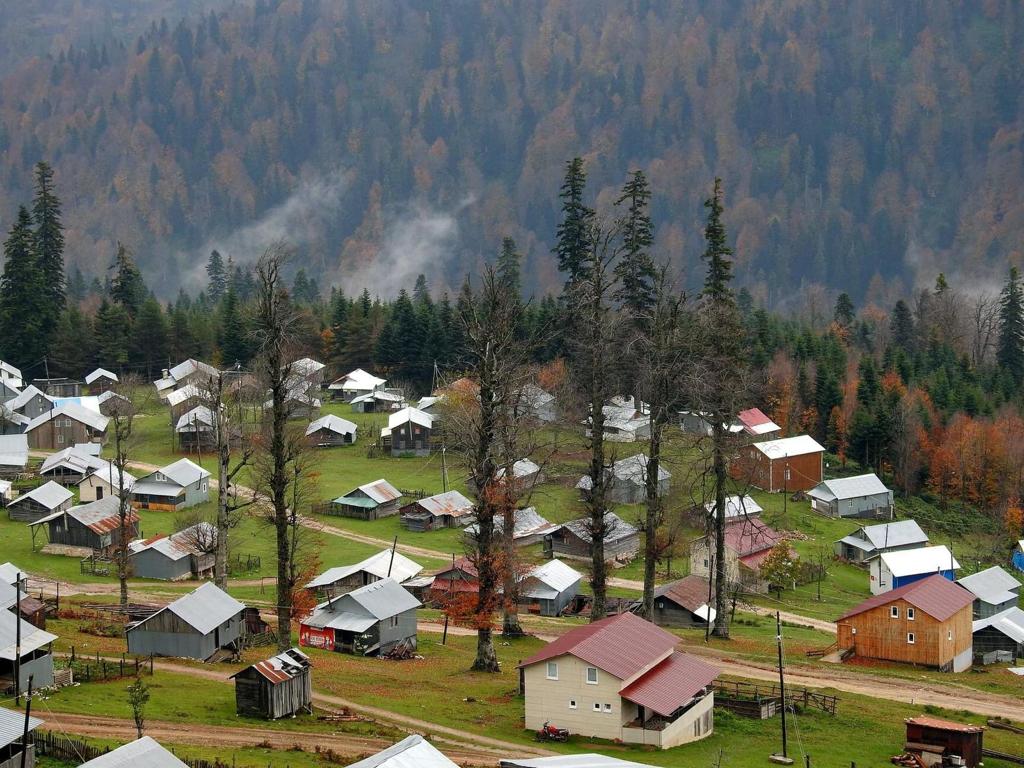 Serdivanmem's tweet image. Tarifsiz doğasıyla güzel Sakarya&apos;m
#HeavenlySakarya

#dörtdörtlüköğrenmekeşfim
#Eğitim2023

@mebailesi2023 @ziyaselcuk @valicetinoktay @okancbn @SakaryaValiligi @Sakaryabld @fazilet_durmus @AliDERE78330428