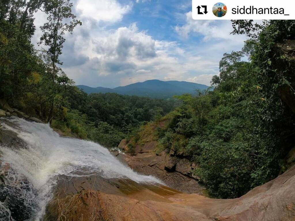 BBSRBuzz's tweet photo. #bhubaneswarbuzz pic courtesy @siddhantaa_
・・・
View from the top of Bhadusole waterfall, Mayurbhanj
.
Shot on @gopro @goproindia
.
.#maibhisadakchap #nustaharamkhor #neverstopexploring #odisha #indiapictures #incredibleindia ##odishatourismofficial #Mypixeldiary #_woi #_so… https://t.co/HW5kNOoCRj