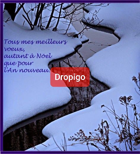_DropiGo's tweet image. Une nouvelle année  va commencer  remplie de bonnes résolutions et d'espérance.
Qu'elle rime avec sérénité, santé  épanouissement et prospérité.
Tous nos meilleurs vœux pour l année 2021.
dropigo.com