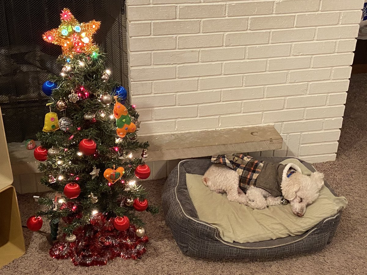 Merry Christmas!!!🎄🎁🎅🏼