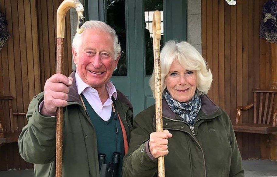 Kyle Hearnshaw tweet media