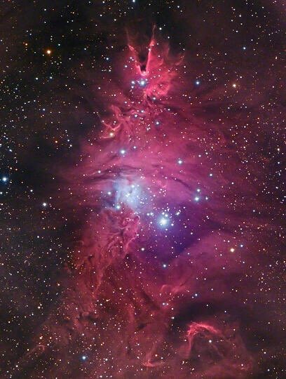 Merry Christmas from the Lockport Challenger team!
Pictured below is the Christmas tree cluster. A suiting name for an amazing sight!

#christmas #christmas2020 #merrychristmas #nebula #space #astronomy #astrophysics #astrophotography #science #stem  #stars