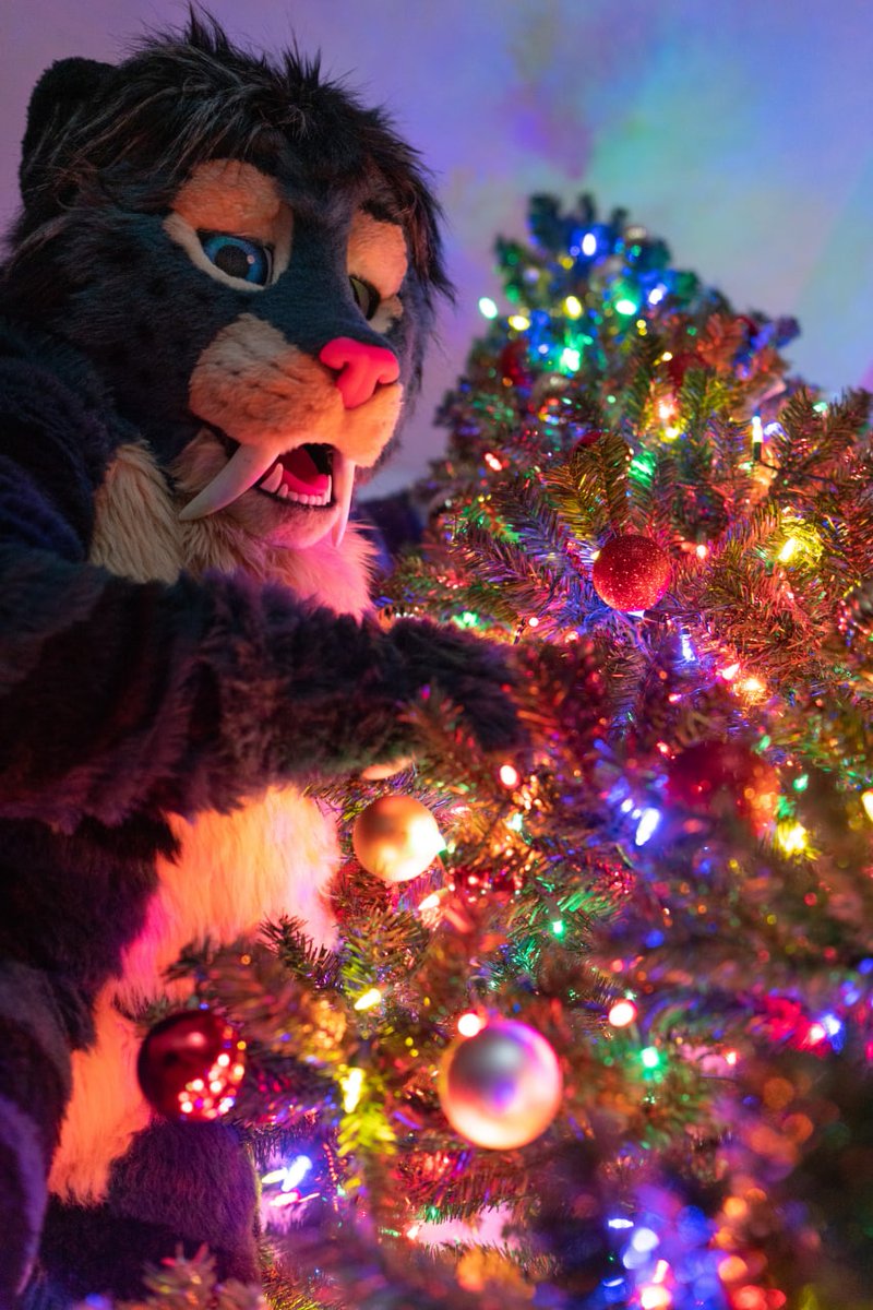 Merry Christmas everyone!
Hope you are well during the Holidays