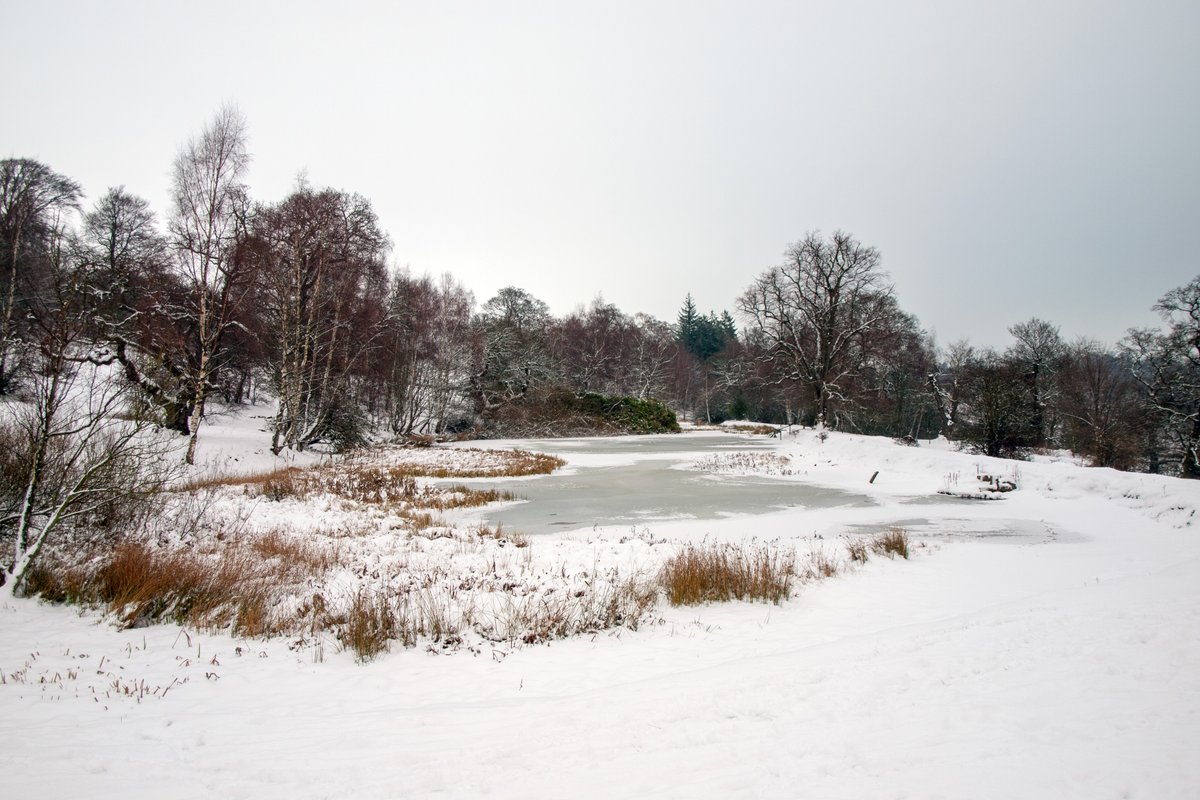 In the mid-19th century, a man named George Clerk Arbuthnot lived at Mavisbank together with his family. Report has it that their Christmas parties were legendary, including skating on the iced-over lochan, and taking a 7-mile walk on New Year’s Day - even in snow!
