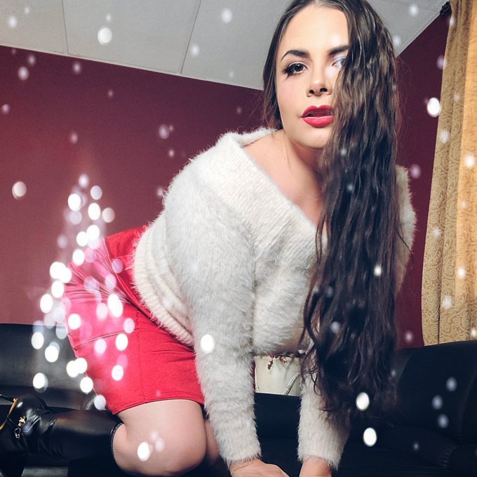 Merry Christmas, ya filthy animals.  🎄🎁 https://t.co/fVPhkBd98P