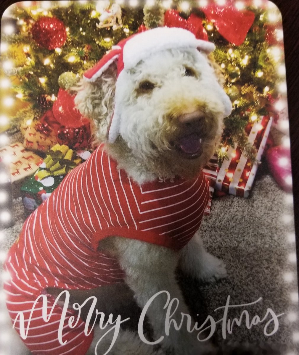 DrKatJeter's tweet photo. Christmas cards arrived yesterday ... #2020Fail is #2021Win 🤣 https://t.co/CXoFWq6C6R