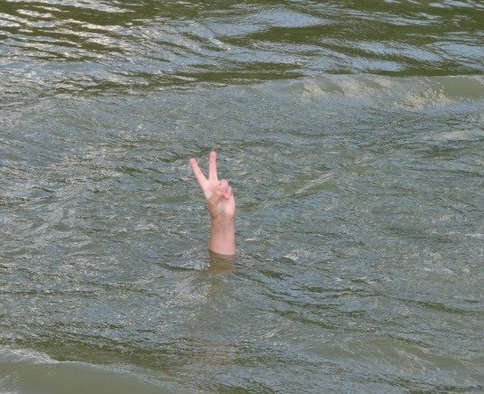 lizard__punk's tweet image. тред с тредами