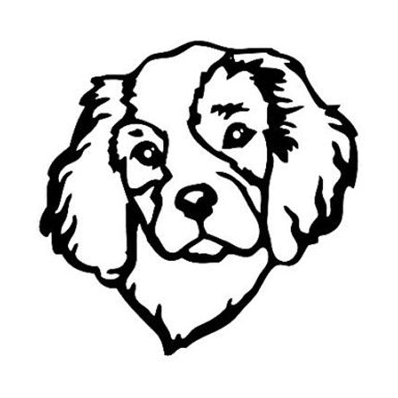 Cavalier King Charles Spaniel Head Car Sticker pooo.st/3oGoa FREE SHIPPING!