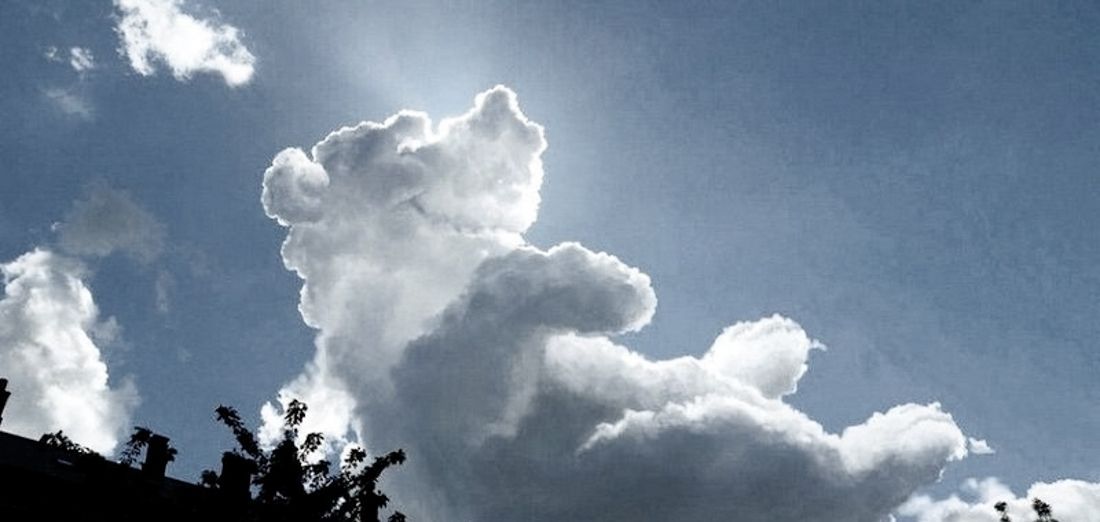 Ramin Nasibov (@raminnasibov) on Twitter photo 