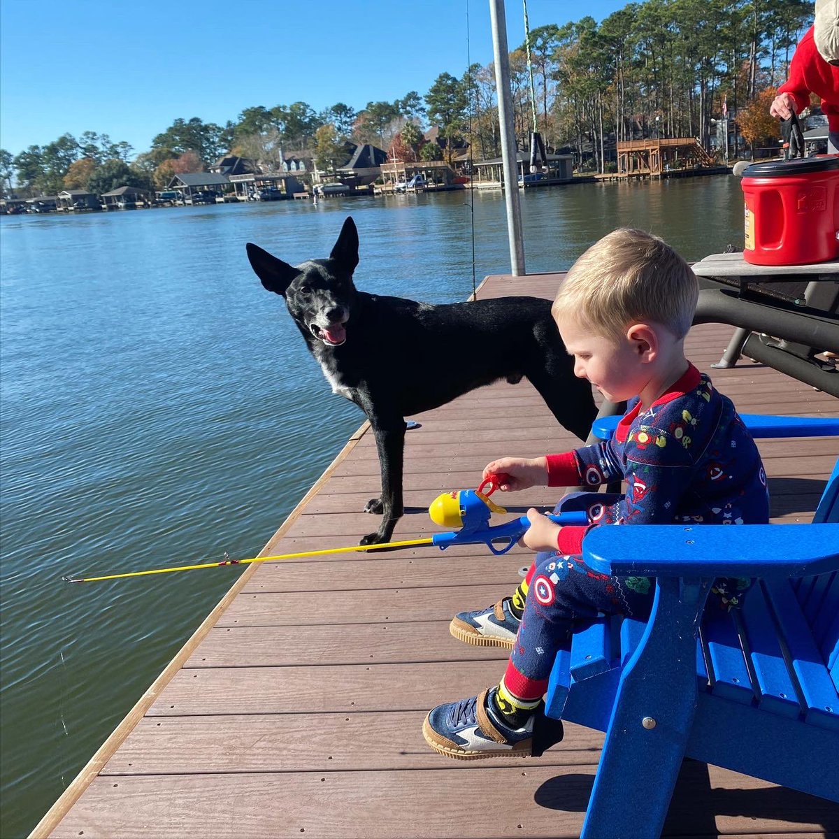 Baron Yarborough tweet media