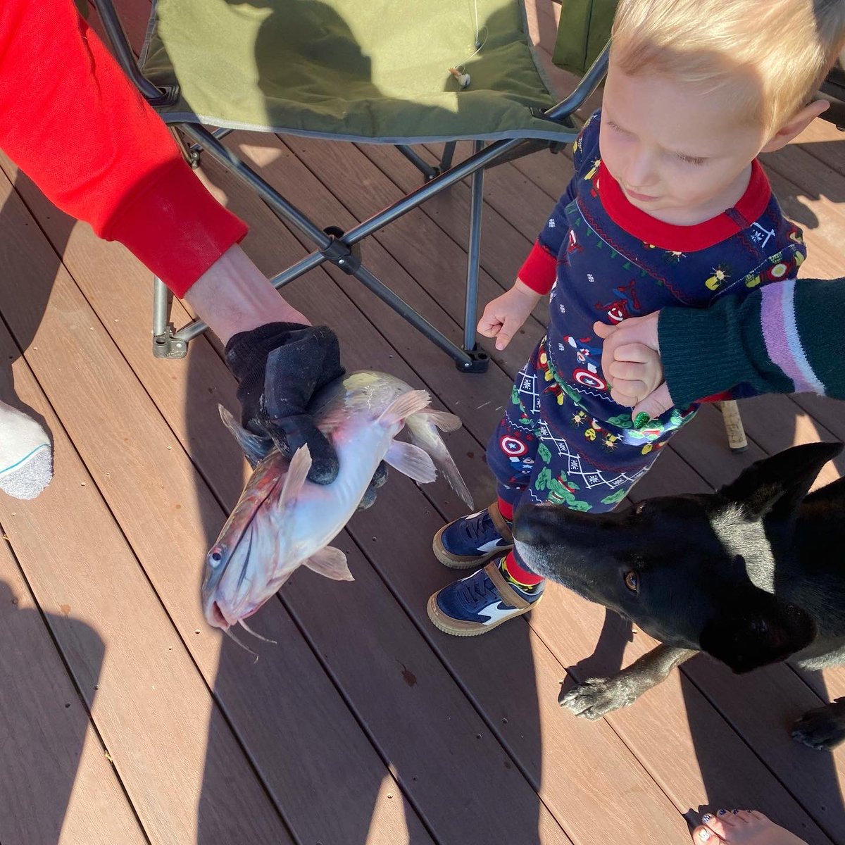 Baron Yarborough tweet media