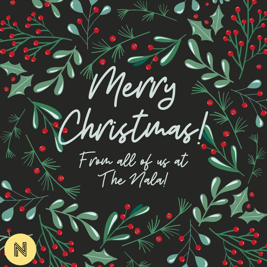 Have a safe and happy holiday everyone! 🎄🎁❄️