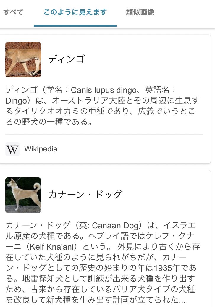 日夏たね 通販始めました ワンコの犬種が謎なので 前に使った犬種特定アプリで調べてみたら前より増えてる 前はディンゴだけだった 日夏たね 通販始めました ワンコの犬種が謎なので 前に使った犬種特定アプリで調べてみたら前より増えてる 前はディンゴだけだった