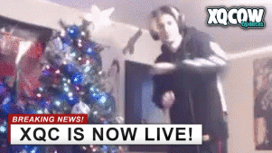 xQcOWUpdates tweet media